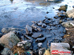 Oil Spills