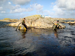 Oil Spills